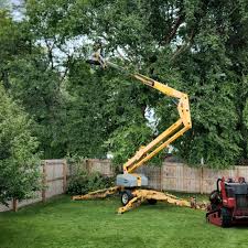 Best Firewood Processing and Delivery  in Edina, MN